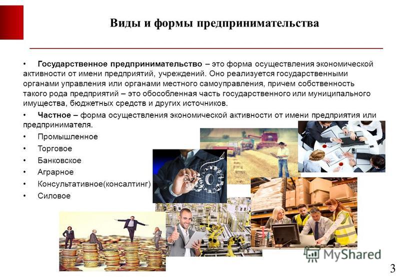 Государственная предпринимательская деятельность примеры