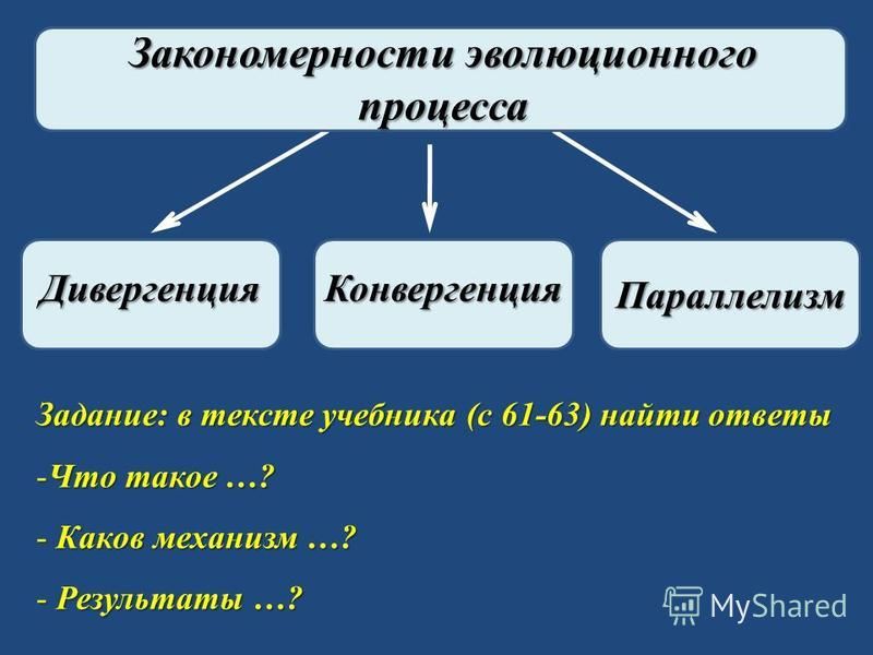 Биология 9 класс презентация основные закономерности эволюции