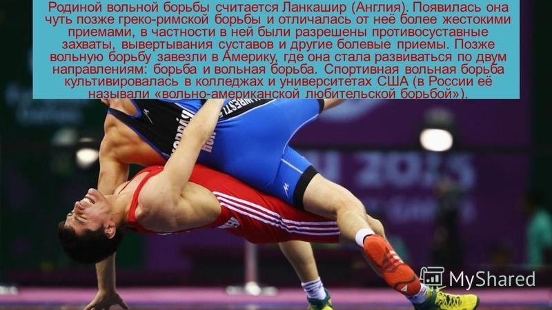 Интересные факты в вольной борьбе