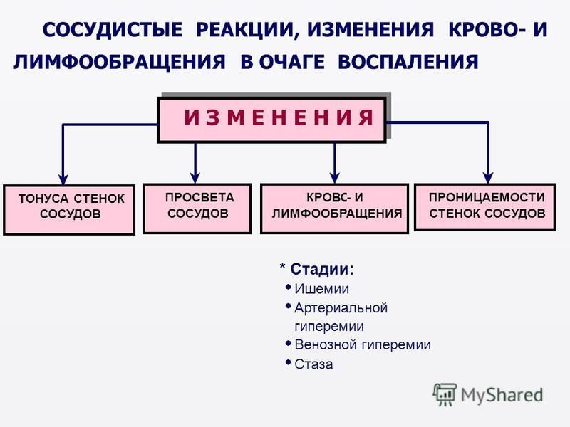 Идпо бгму уфа календарный план на 2023 год