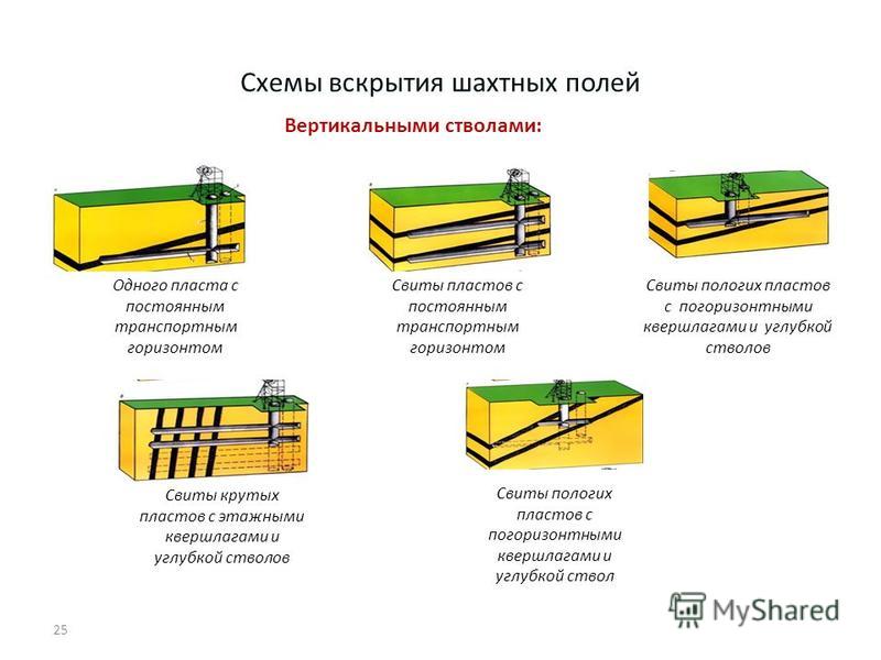 Схема вскрытия шахтного поля вертикальными стволами