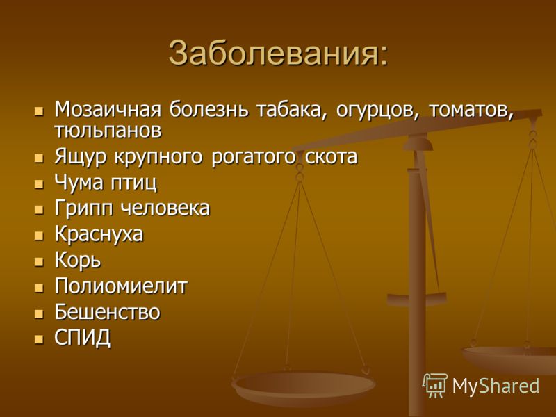 паразиты клетках человека паразиты клетках человека