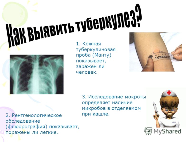 огулов как избавиться от паразитов огулов как избавиться от паразитов