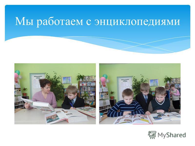 Бабье царство чехов читать онлайн