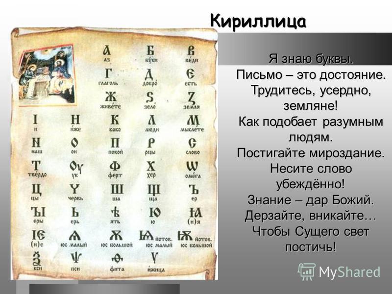 Как выглядит чесоточный клещ: фото, как Ирландское кружево Записи в рубрике Ирландское кружево