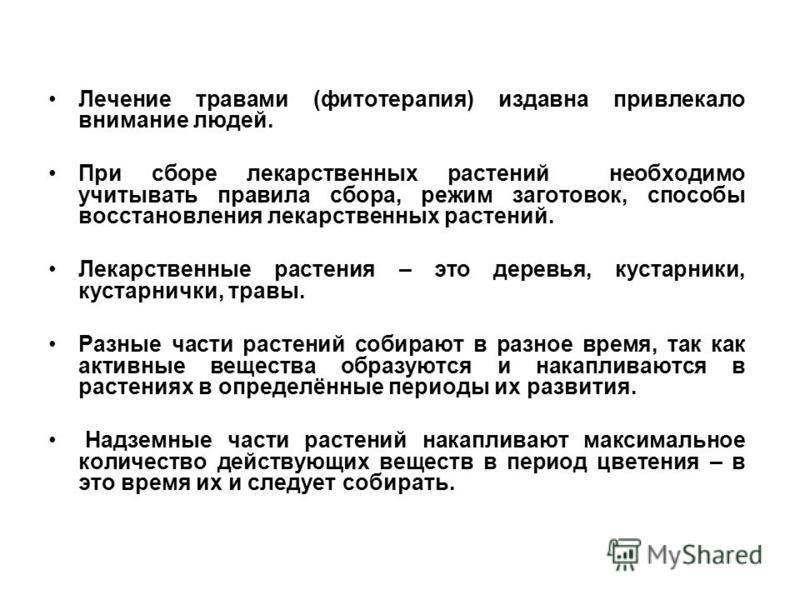 лекарственные растения саратовской области описание и фото онлайн лекарственные растения саратовской области описание и фото