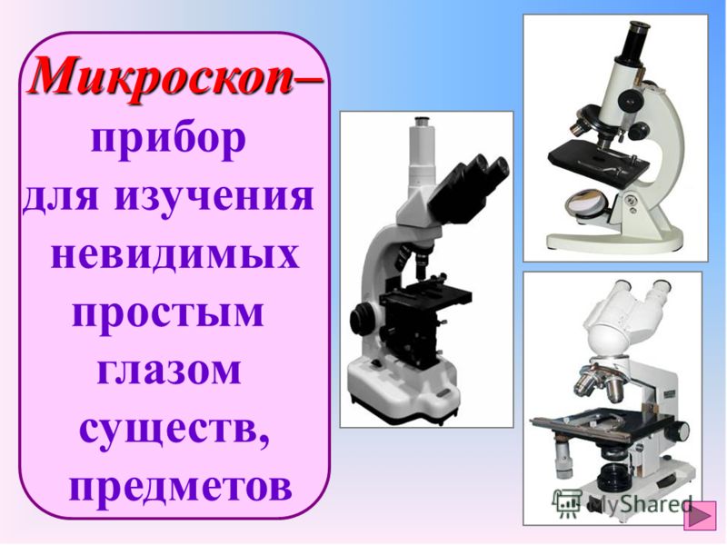 Рабочая программа по истории для 10 класса