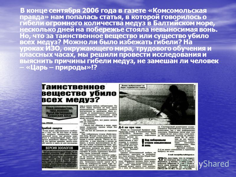 вонь изо рта как избавиться от паразитов вонь изо рта как избавиться от паразитов