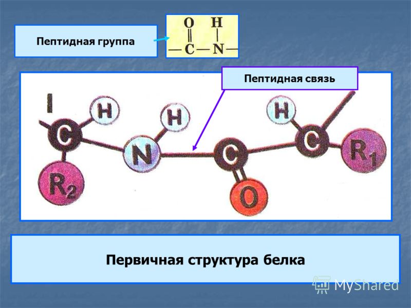 Рабочая программа по русскому языку 4 класс канакина фгос