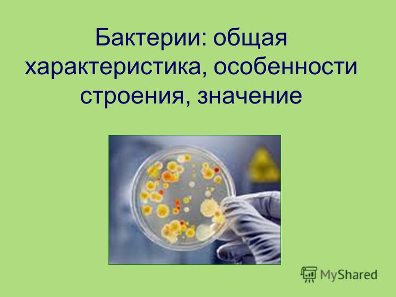 меры профилактики от паразитов меры профилактики от паразитов