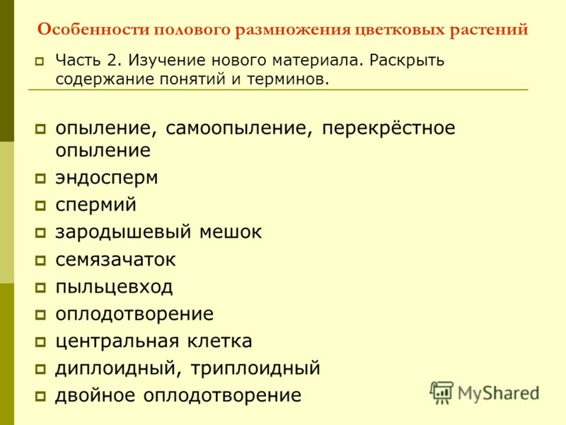 Бесполое Размножение Организмов 9 Класс Презентация