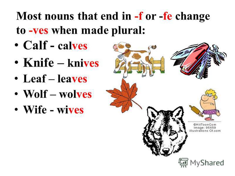 faithseahems-blogspot-singular-and-plural-nouns