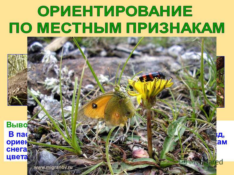 Гисметео прогноз погоды в чамзинке