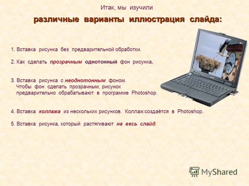 Клумбы в своем доме или даче своими руками фото 28