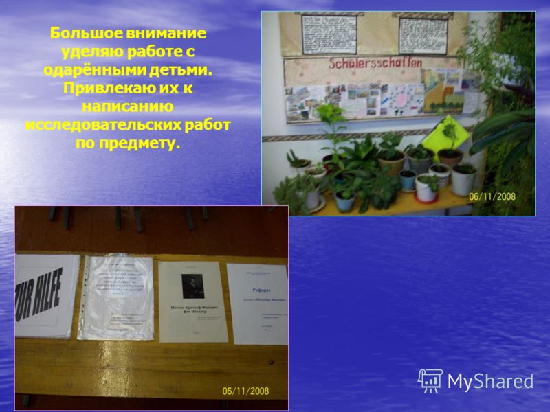 Большое внимание уделяю работе с одарёнными детьми. Привлекаю их к написанию исследовательских работ по предмету.