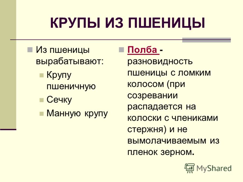 Как вкусно приготовить бёдра индейки на кости