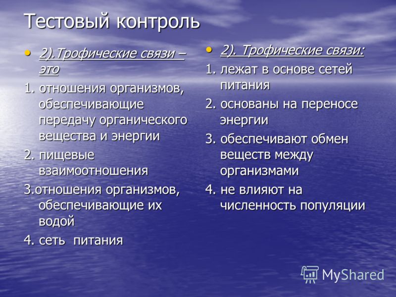 Береза и трутовик отношения Береза и трутовик отношения