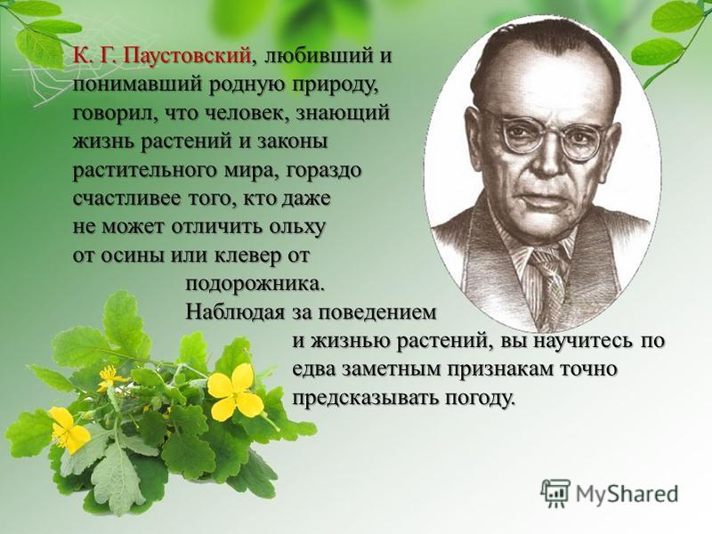 Погода тверской области алексино