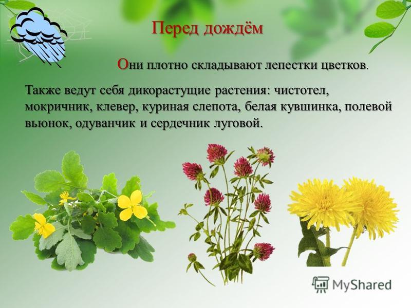 Прогноз погоды в феодосии на 2 месяца