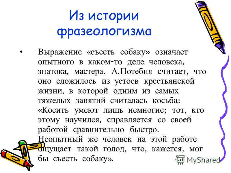 Съесть зубы на чем то значение фразеологизма Съесть зубы на чем то значение фразеологизма