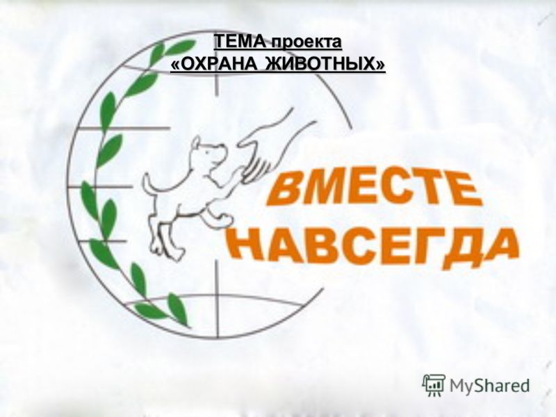 Курдюмова программа 8 класс: Все релизы 2014 года Рабочая программа по изо 5 9 класс неменский