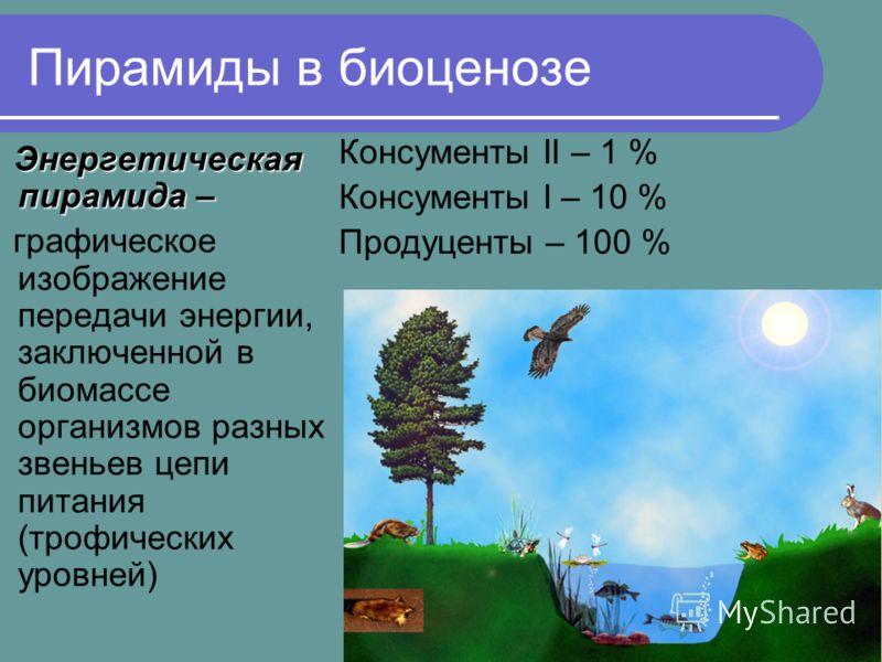 Тематическое планирование по обж 11 класс