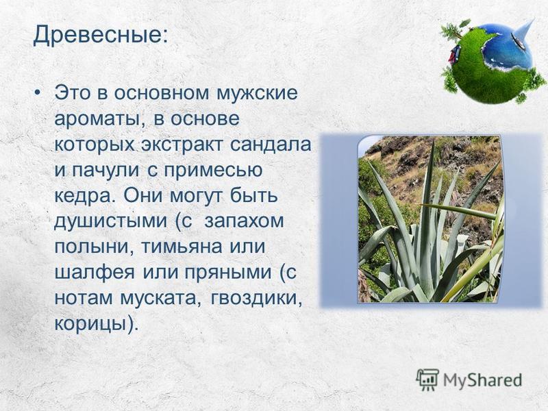 снятие стрессовых состояний снятие стрессовых состояний
