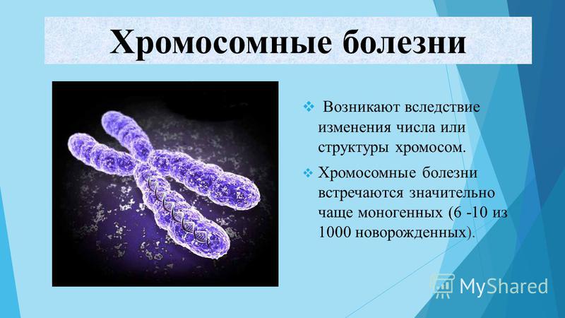 Наследственные заболевания связанные с хромосомами Наследственные заболевания связанные с хромосомами