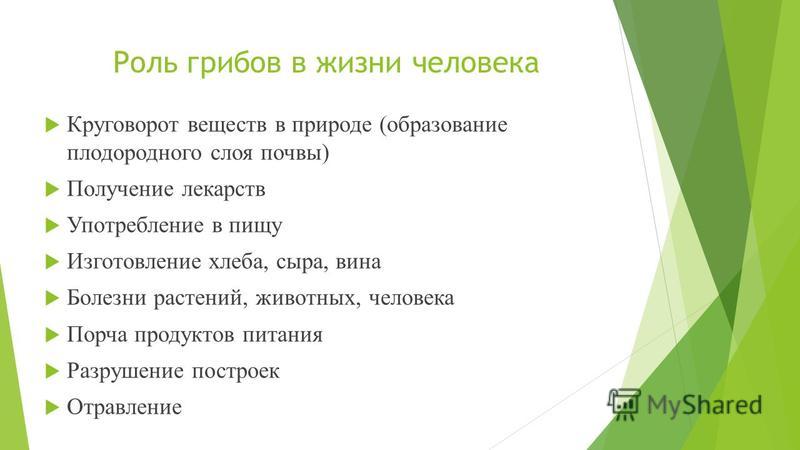 грибы паразиты в жизни человека грибы паразиты в жизни человека