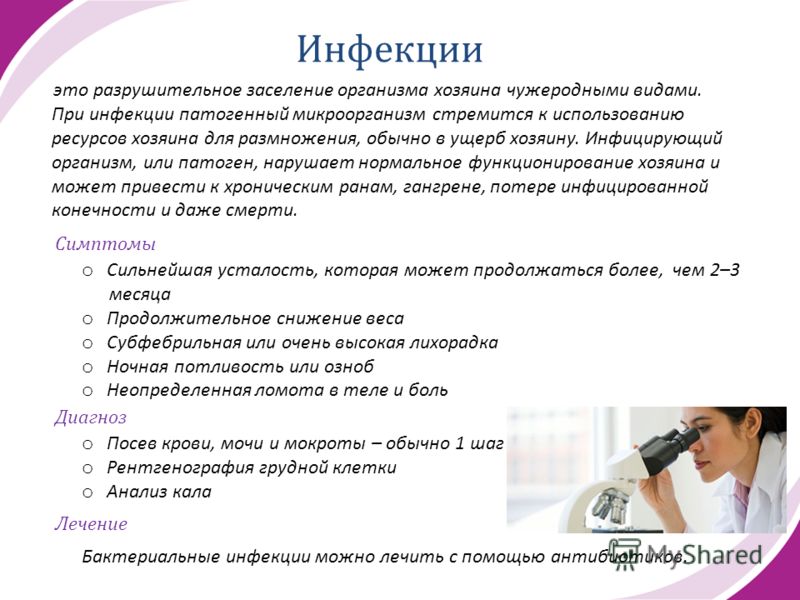 Что такое анализ мочи на посев бактерии Что такое анализ мочи на посев бактерии
