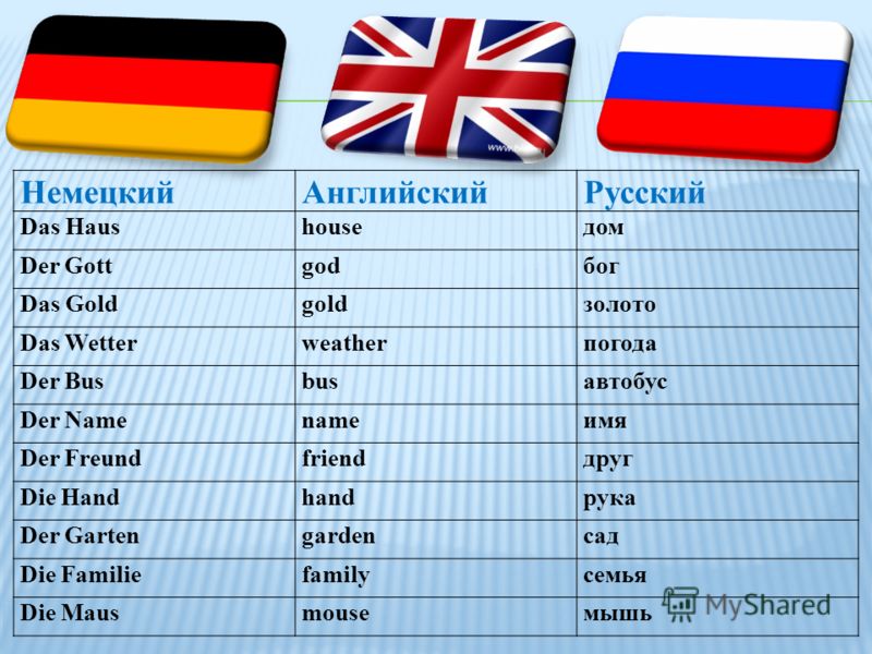 Презентация на тему Сходство и различия Автор Сергеева Презентация на тему Сходство и различия Автор Сергеева
