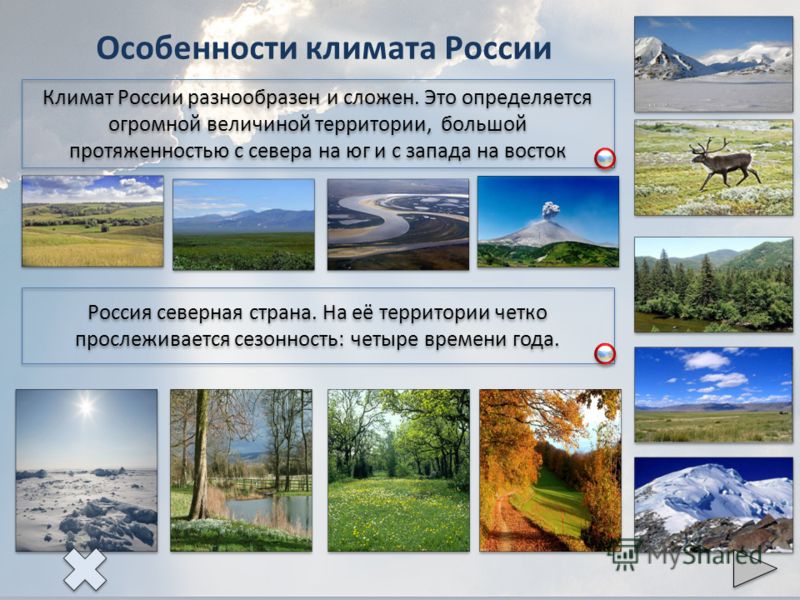 Погода в бостыне лунинецкий район