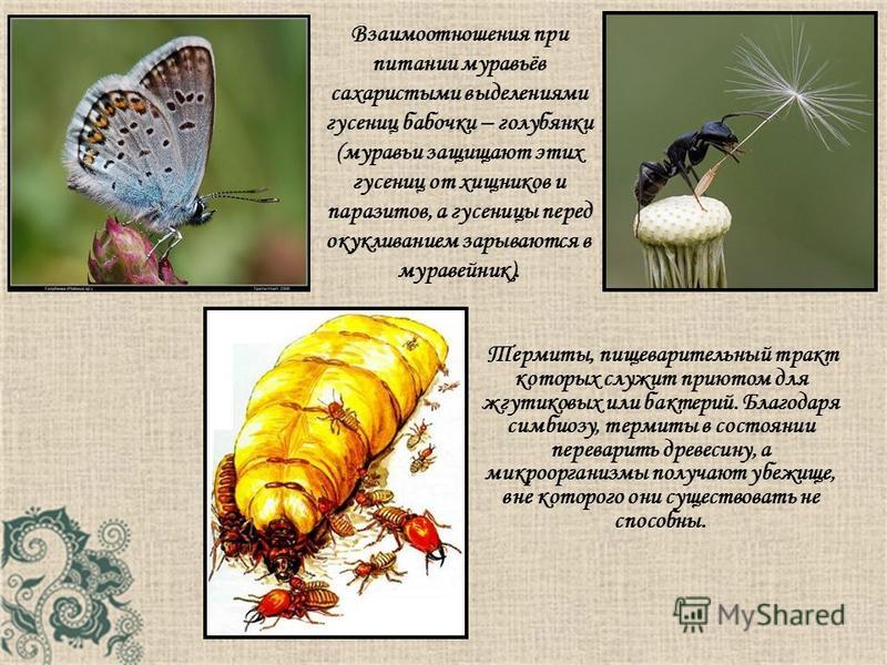 скачать математика 4 класс богданович 2015 скачать