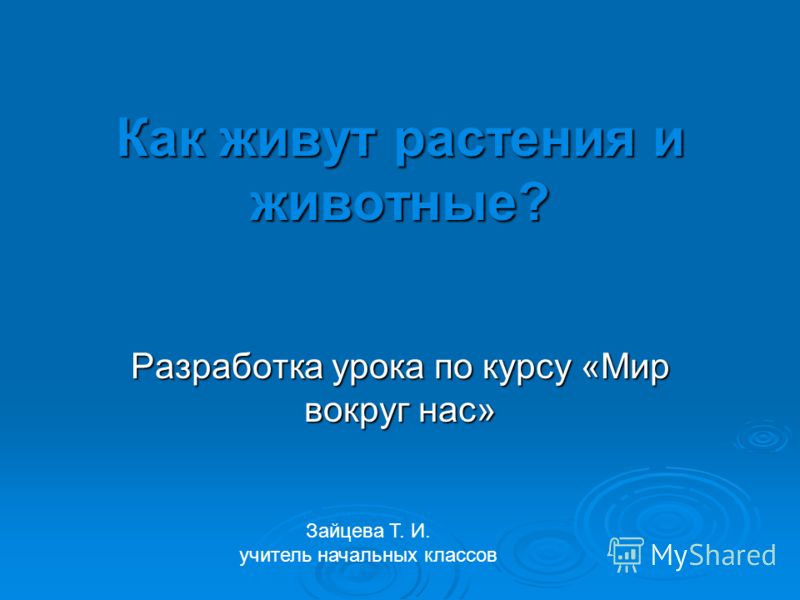 Как живут растения и животные? Разработка урока по курсу «Мир вокруг нас» Зайцева Т. И. учитель начальных классов