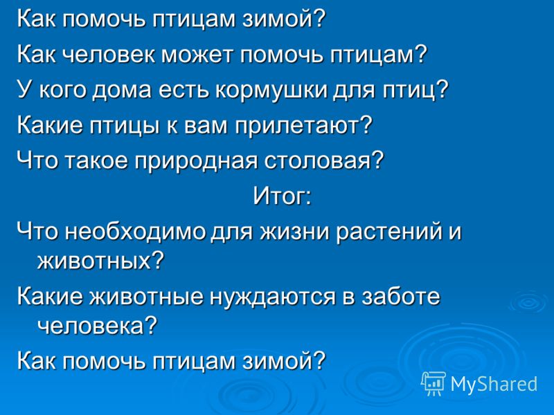 Как помочь птицам зимой? Как человек может помочь птицам? У кого дома есть кормушки для птиц? Какие птицы к вам прилетают? Что такое природная столова