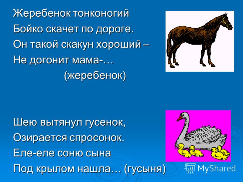 Жеребенок тонконогий Бойко скачет по дороге. Он такой скакун хороший – Не догонит мама-… (жеребенок) (жеребенок) Шею вытянул гусенок, Озирается спросо