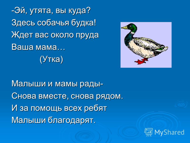 -Эй, утята, вы куда? Здесь собачья будка! Ждет вас около пруда Ваша мама… (Утка) (Утка) Малыши и мамы рады- Снова вместе, снова рядом. И за помощь все