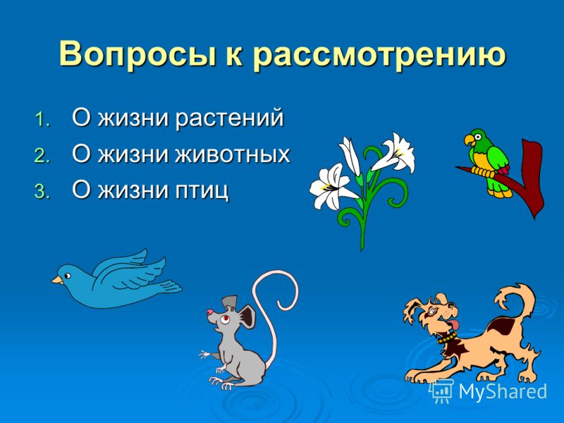 Вопросы к рассмотрению 1. О жизни растений 2. О жизни животных 3. О жизни птиц