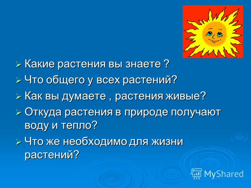 Какие растения вы знаете ? Какие растения вы знаете ? Что общего у всех растений? Что общего у всех растений? Как вы думаете, растения живые? Как вы д