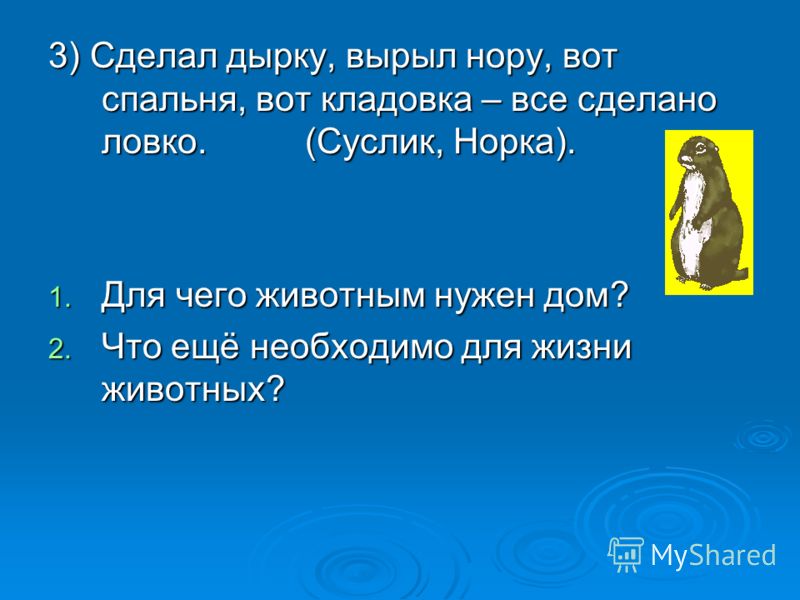 3) Сделал дырку, вырыл нору, вот спальня, вот кладовка – все сделано ловко. (Суслик, Норка). 1. Для чего животным нужен дом? 2. Что ещё необходимо для