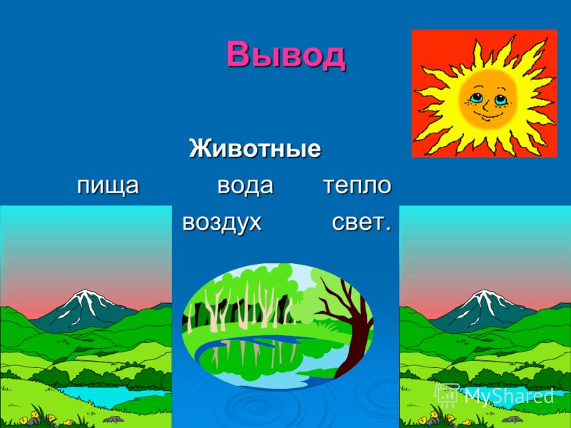 Вывод Животные Животные пища вода тепло пища вода тепло воздух свет. воздух свет.