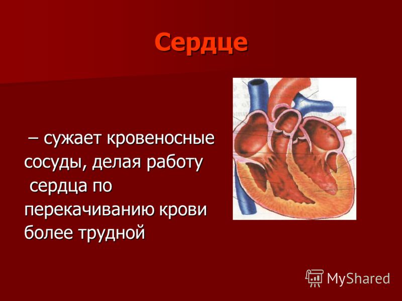 Сердце – сужает кровеносные – сужает кровеносные сосуды, делая работу сердца по сердца по перекачиванию крови более трудной