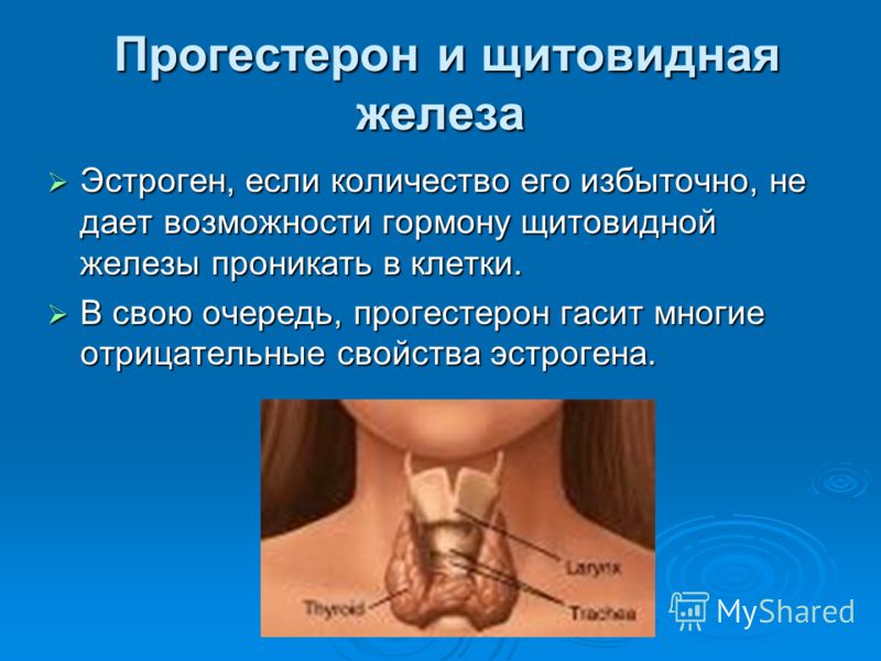 Прогестерон и щитовидная железа Прогестерон и щитовидная железа Эстроген, если количество его избыточно, не дает возможности гормону щитовидной железы
