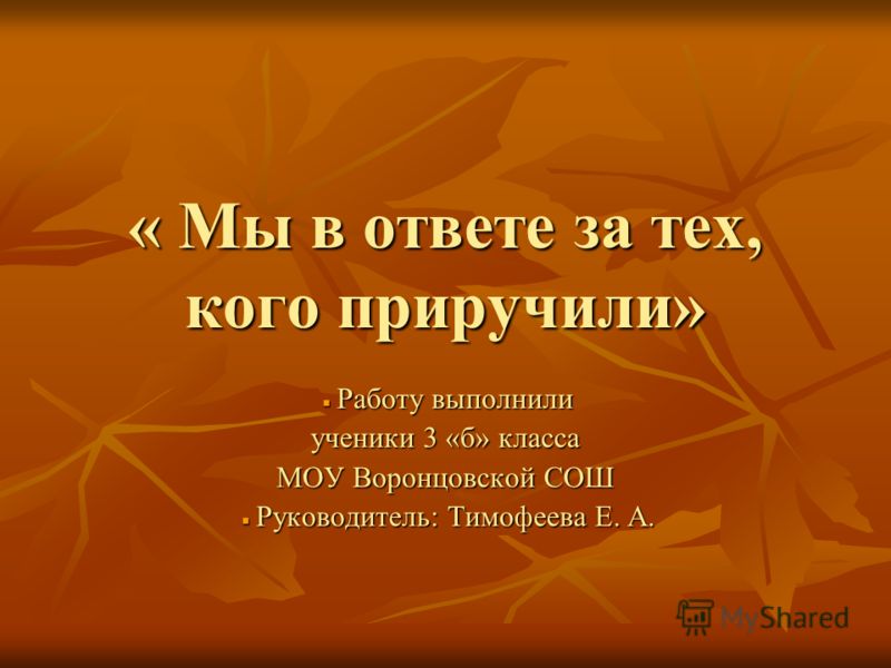 работа в интернете 3 в час работа в интернете 3 в час