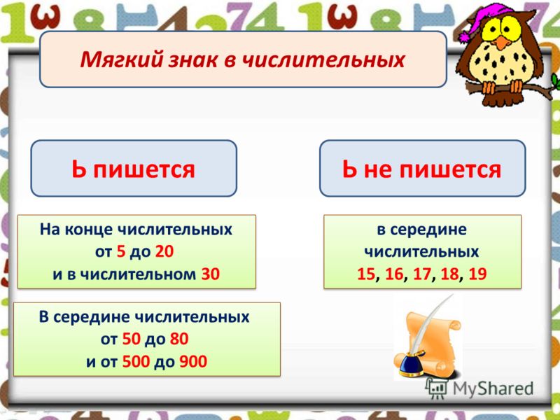 Ь НЕ ПИШЕТСЯ ь не пишется: