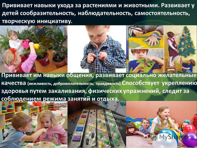 Профессия ухода за растениями Профессия ухода за растениями