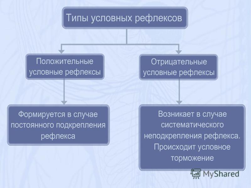 Шартты Ж?Не Шартсыз Рефлекстер Слайд - 80 фото