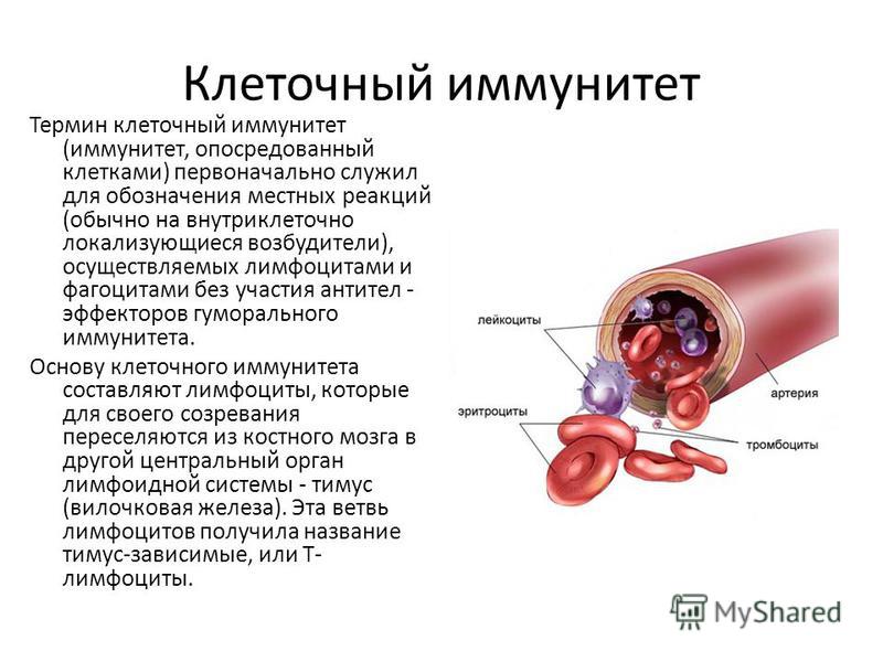 Гоммаж (маска) - что это такое? Гнойник на десне: лечение, причины появления гноя в десне