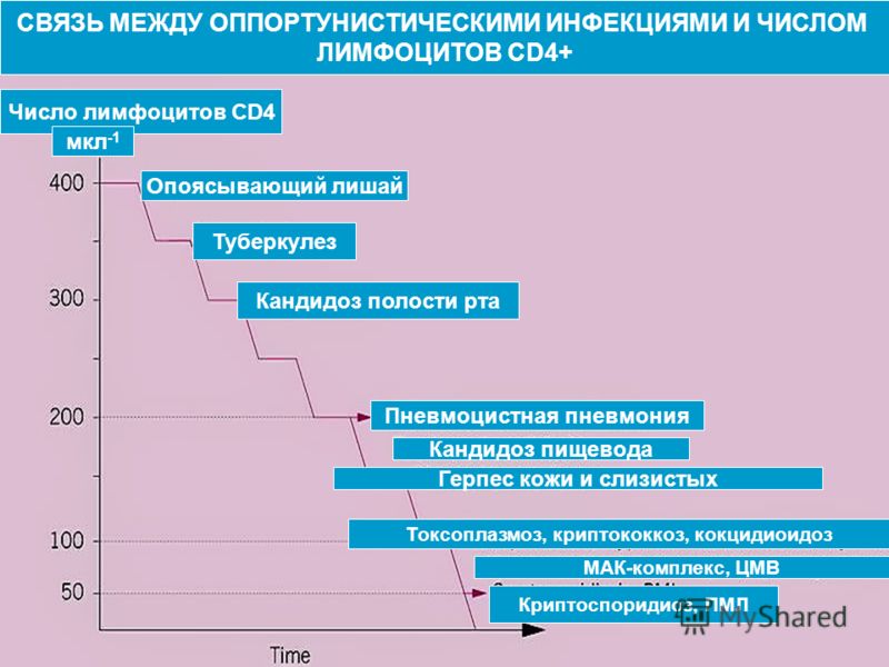 Герпес 4-го типа симптомы, причины, диагностика Герпес 4-го типа симптомы, причины, диагностика
