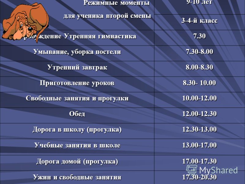 распорядок дня для здорового образа жизни женщины распорядок дня для здорового образа жизни женщины